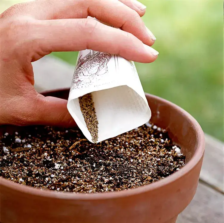 person-pouring-seeds-soil: 10-easy-steps-to-start-a-garden