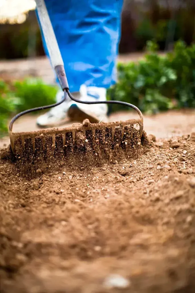 person-raking-soil: 10-easy-steps-to-start-a-garden